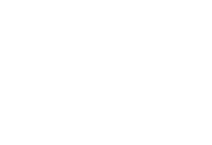 Schwerttner Chiropractics